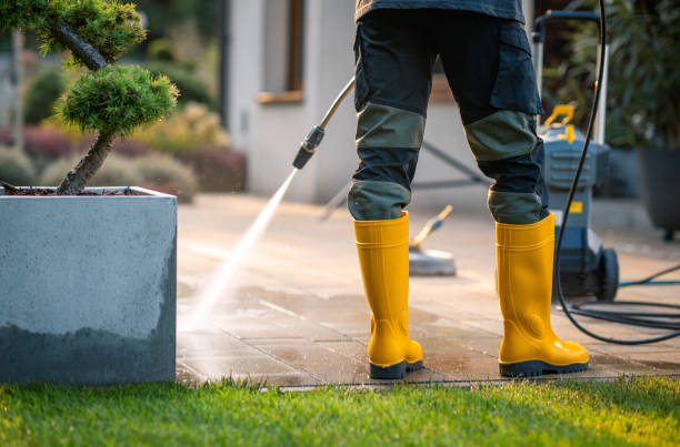 Best Pressure Washing Siding  in Morrisonville, NY